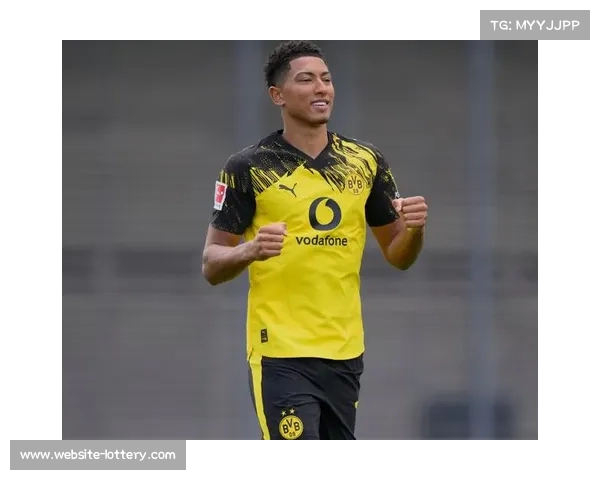 德甲联盟与国际足联深化合作，推动足球运动发展